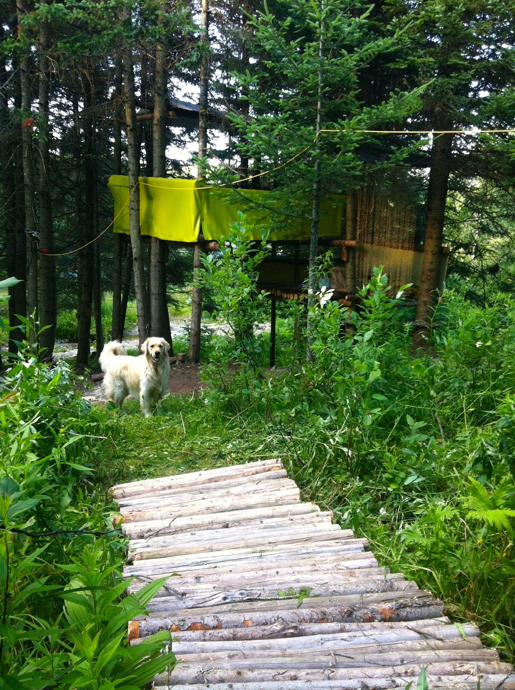 La cabane aux drapeaux jaunes.