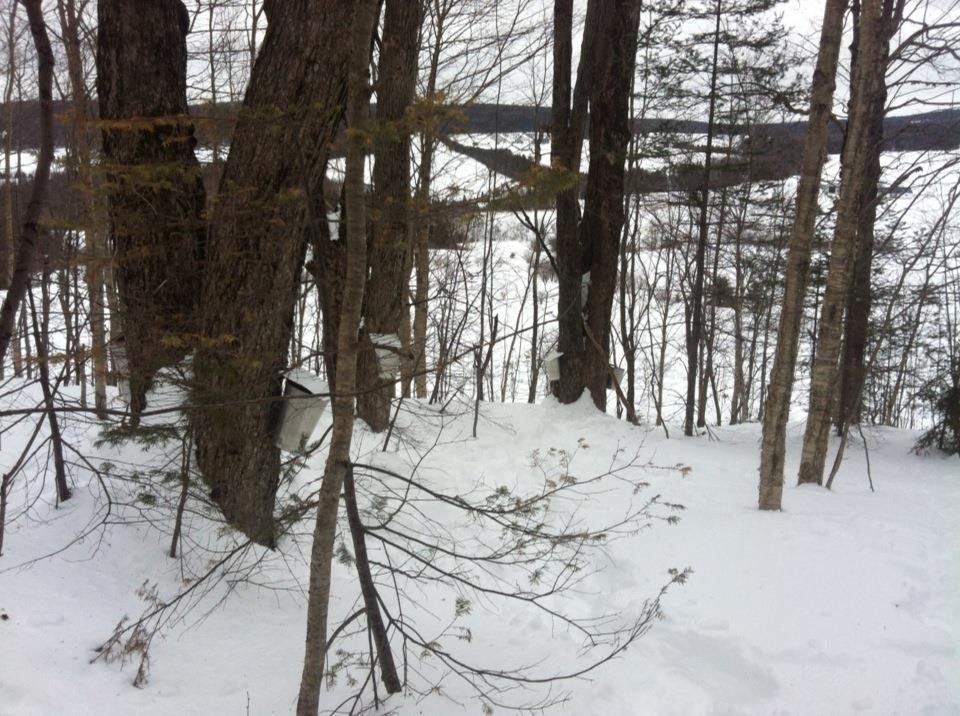 Une plateforme dans la neige.