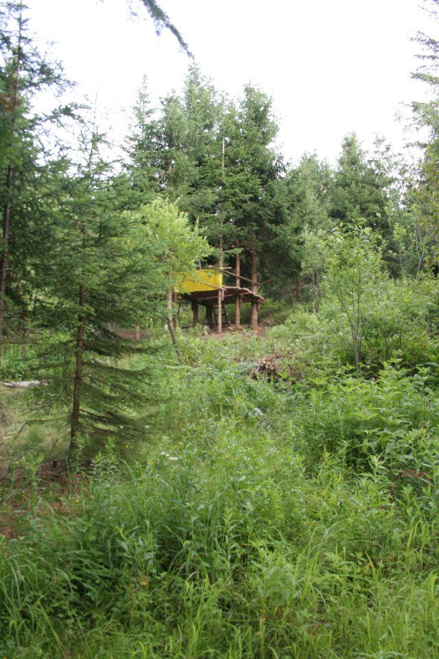 Une cabane, tout au fond de la forêt.