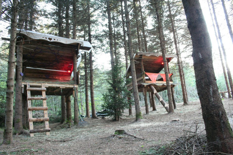 Une cabane sur pilotis, dans les épinettes.