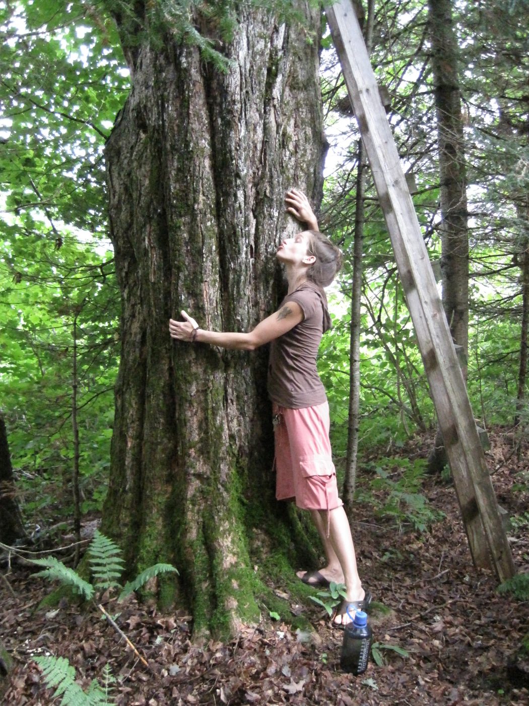 5 août 2010 : embrasser un arbre.