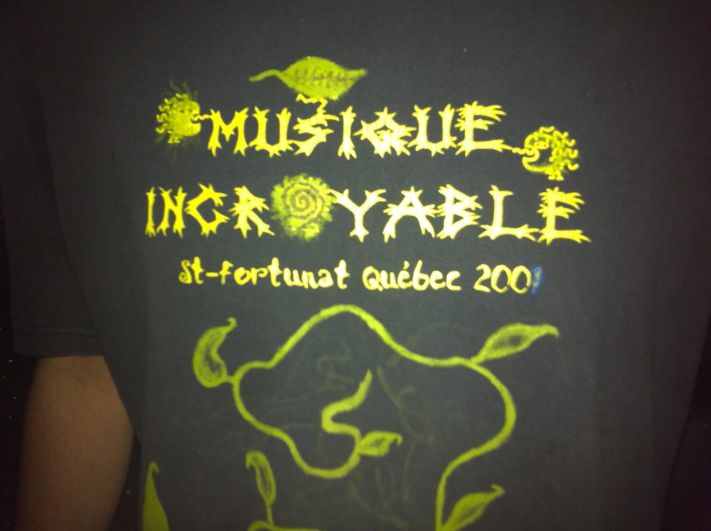 1er janvier 2011 : « Musique incroyable, St-Fortunat », projeté sur le mur.