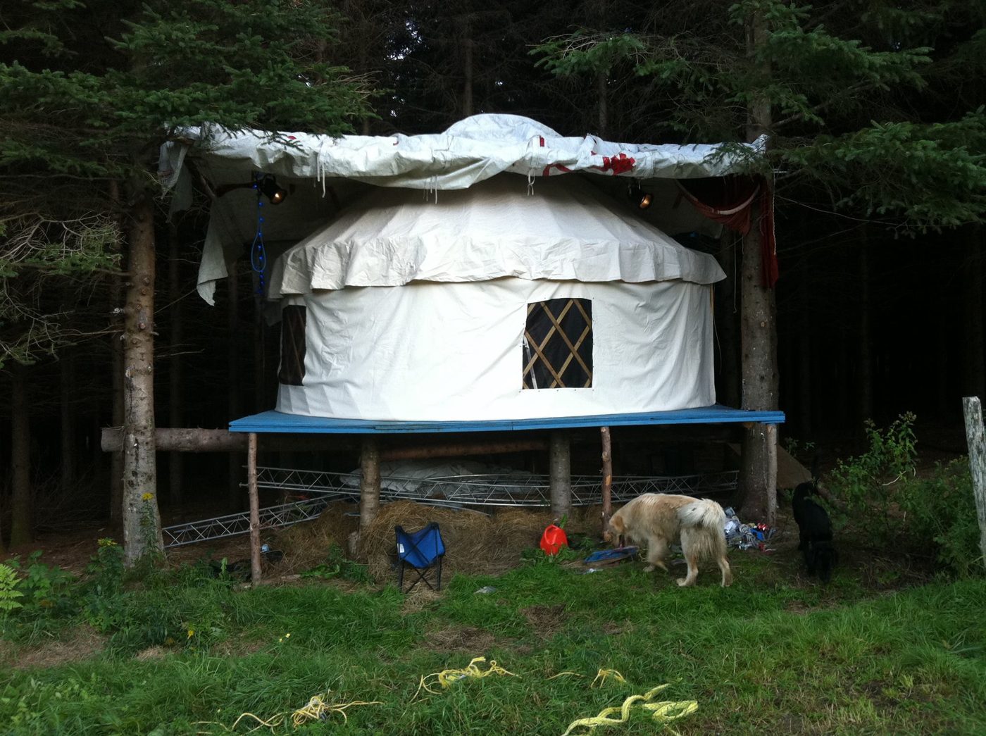 La yourte et son chien.