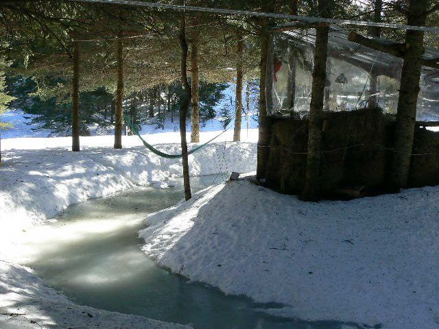 Le Cherry Island en hiver, le ruisseau encore ouvert.