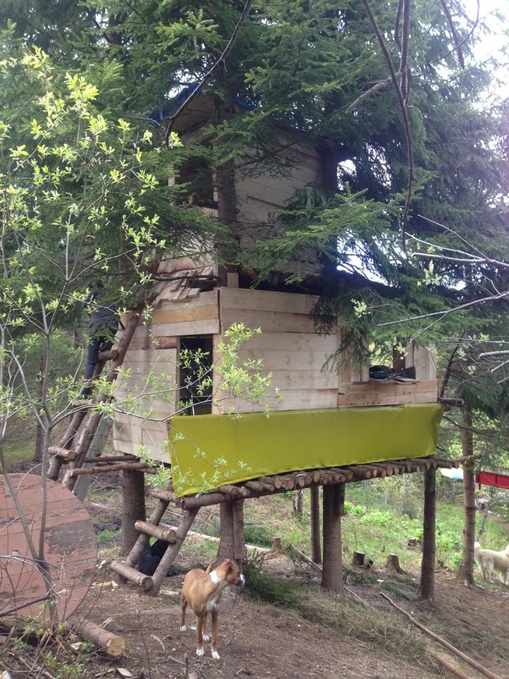 L'Ascension, treehouse à louer depuis mai 2013.