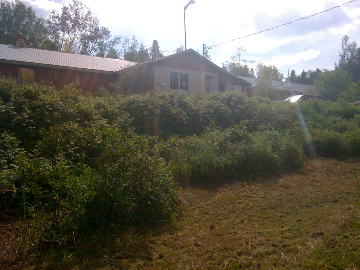 La maison, juin 2010.