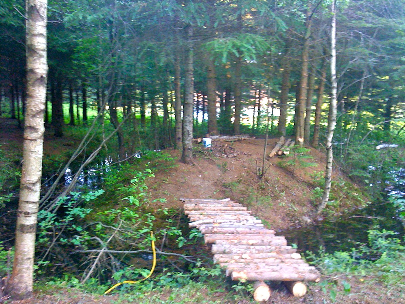 Le premier petit pont, juin 2010.