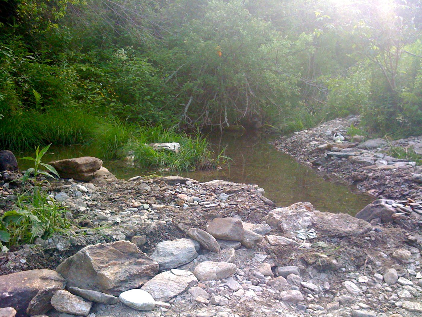 Le ruisseau et ses pierres, juin 2010.