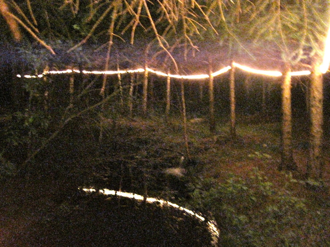 5 juillet 2010 : une ligne de lumière entre les arbres, la nuit.