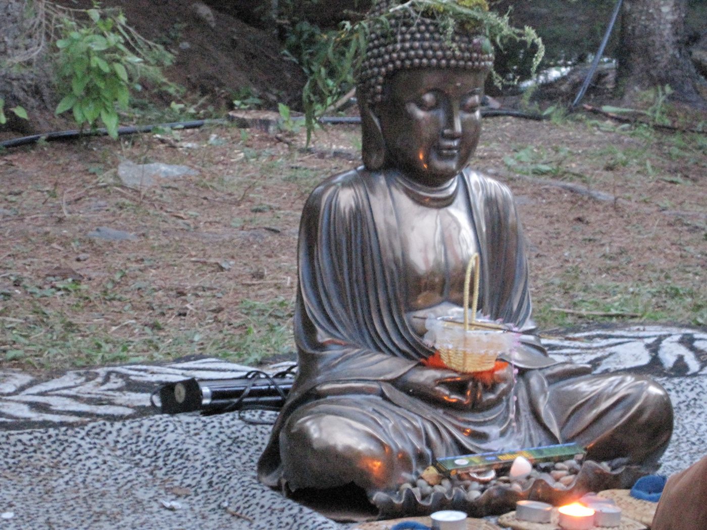 Le bouddha, ses offrandes et son tapis, août 2010.