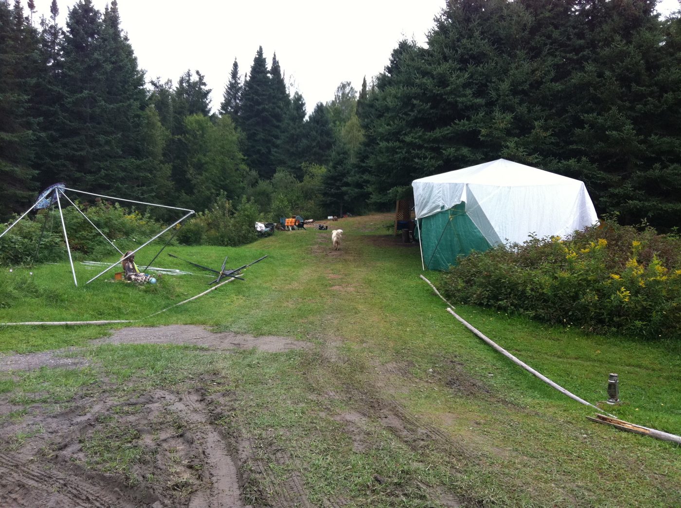 Les tipis de perches et la tente blanche.