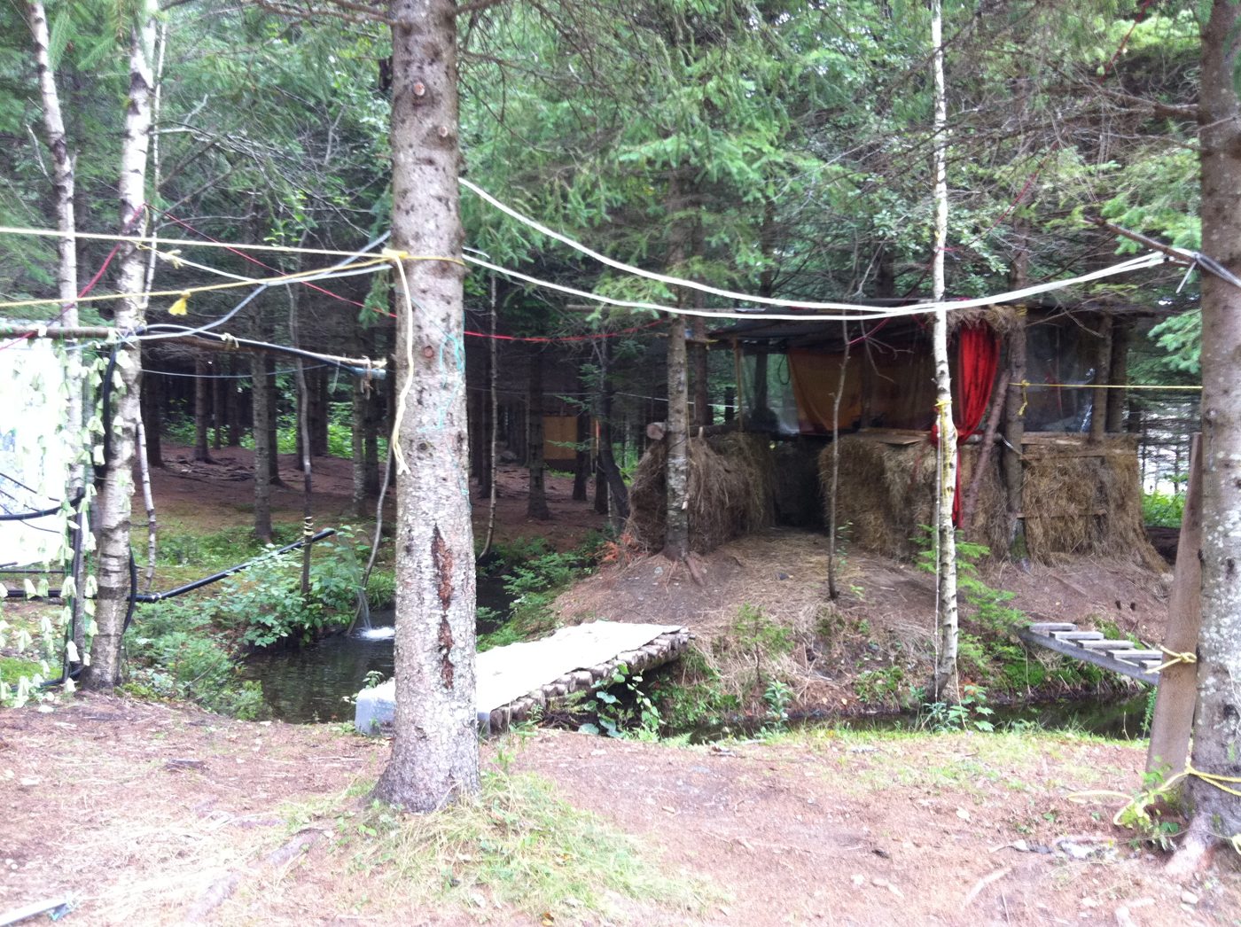 Le camp de forêt : passerelles, cabanes, hamacs.