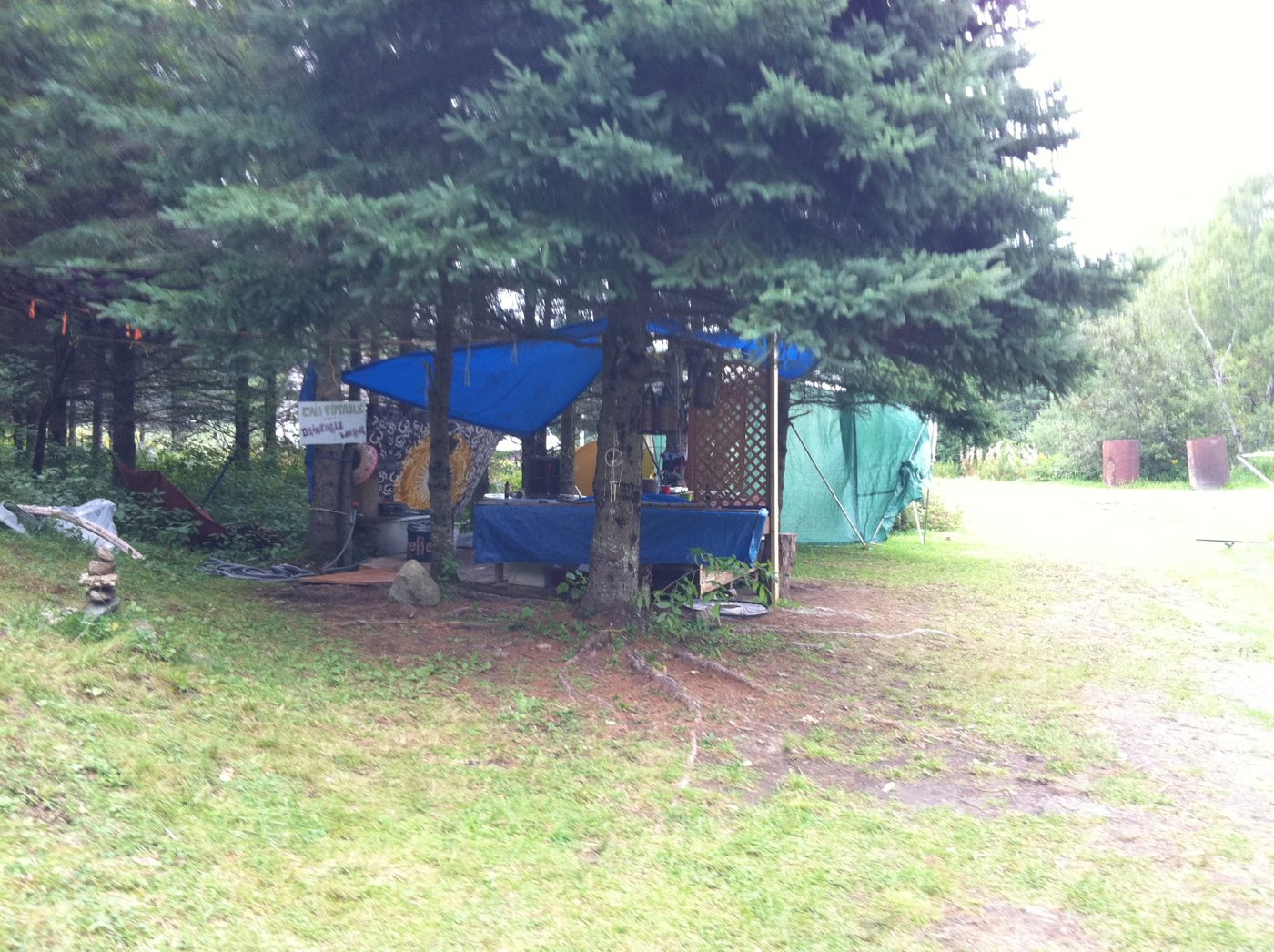 La cabane bleue au bord de la clairière.