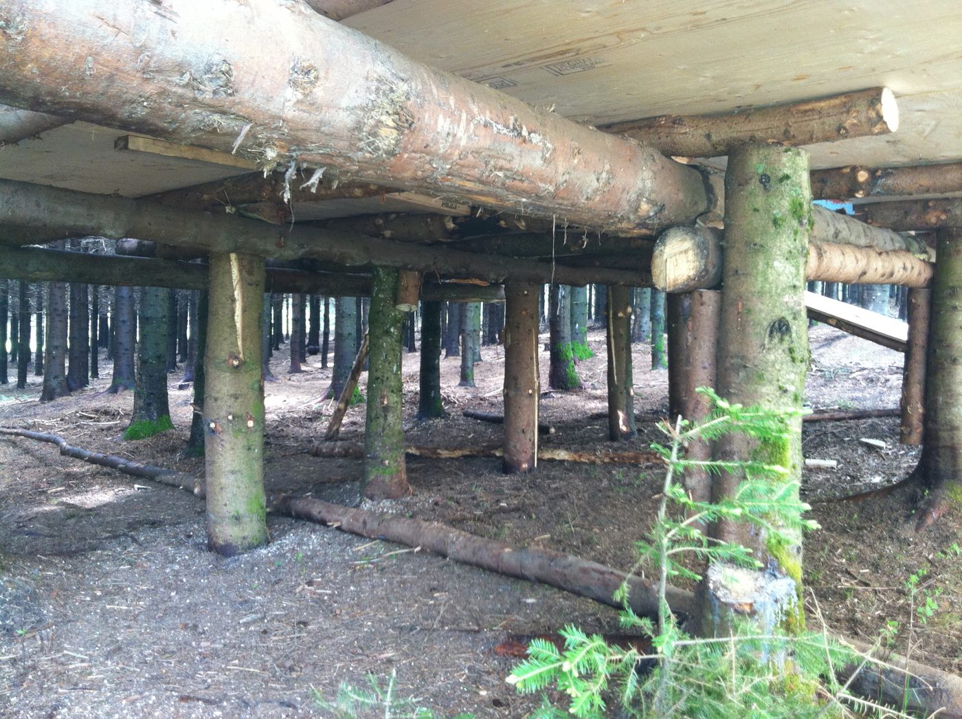 La charpente de la scène couverte, en bois rond.