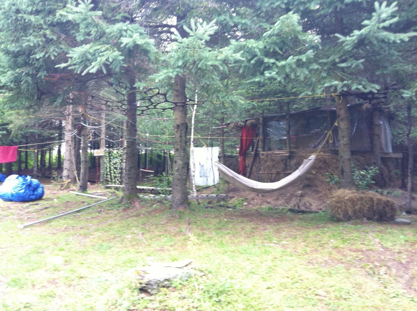 La cabane et son hamac, sous les épinettes.