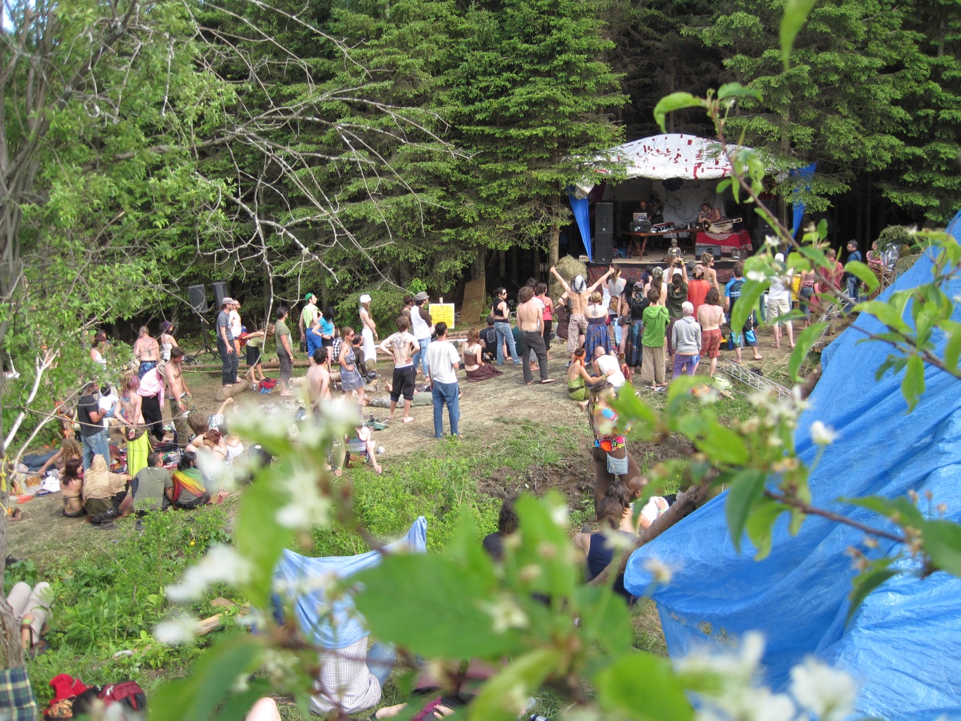Sundari 2011 : la scène de forêt vue à travers les fleurs de cerisier.