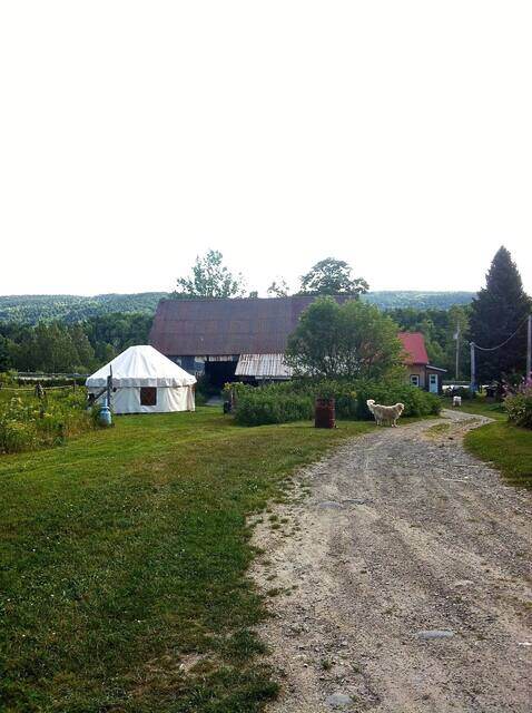 Été 2012 : la cuisine d'été et les cabanes, 1 août 2012