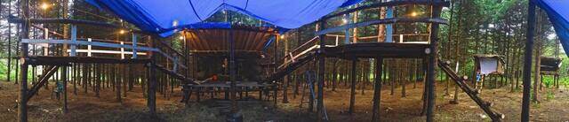 La construction du Neverland, 10 septembre 2013