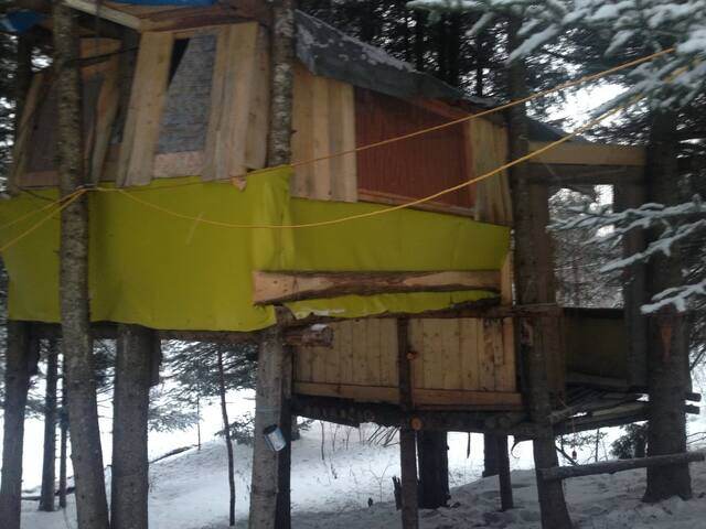 Hiver et printemps 2014, 16 janvier 2014