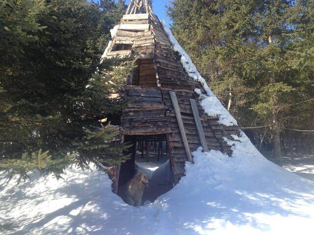 Hiver et printemps 2014, 8 mars 2014